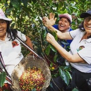 The Best Decaf Coffee in the UK - I Love Decaf 19 17075851 1053051248160033 1062730451271024640 n