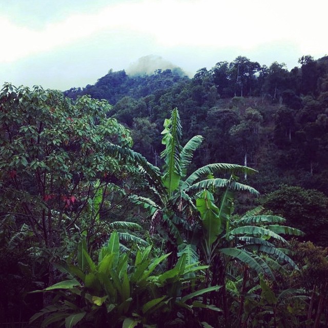 The best decaf coffee in the uk - i love decaf 24 Svg%3e