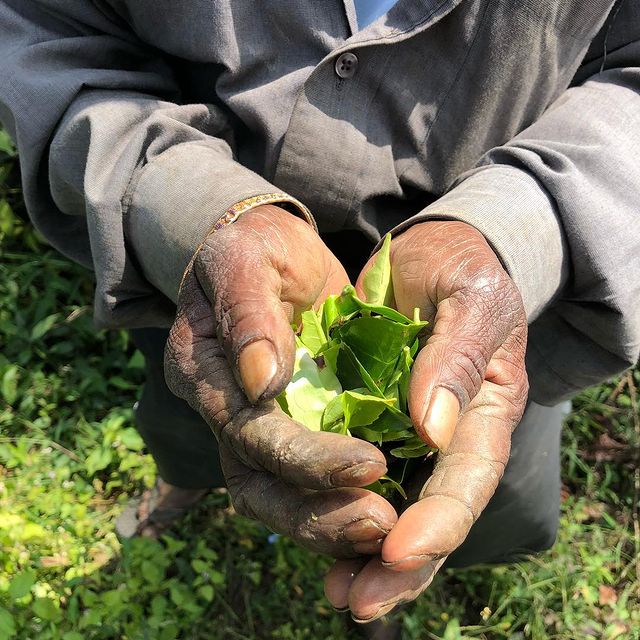 The best decaf coffee in the uk - i love decaf 21 Svg%3e