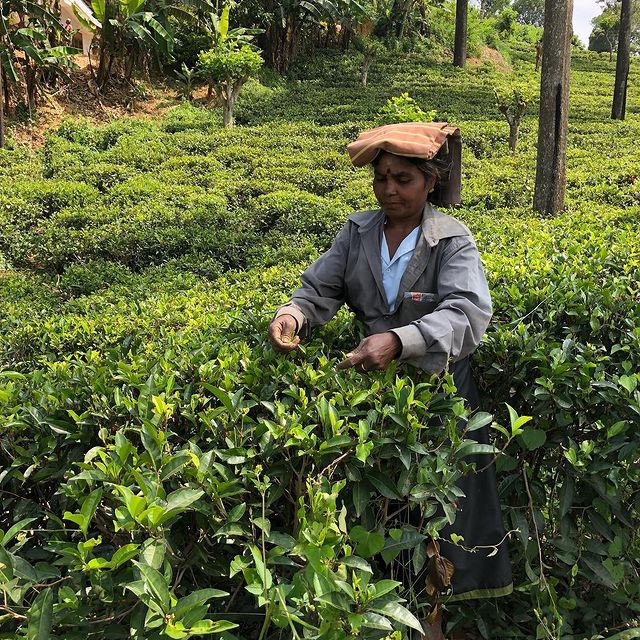 The best decaf coffee in the uk - i love decaf 20 Svg%3e