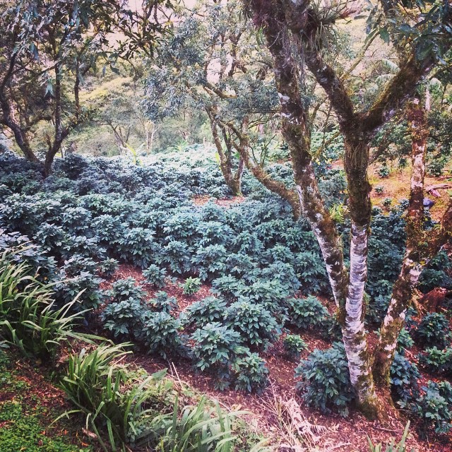 928942 752804044813449 805412492 n