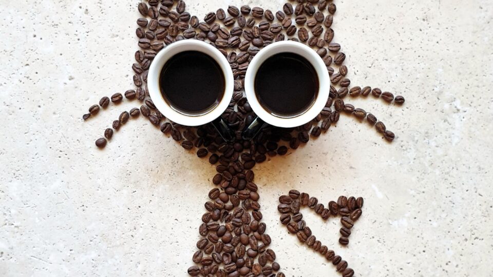 How to tell if your decaf beans are past their prime (and what to do about it)